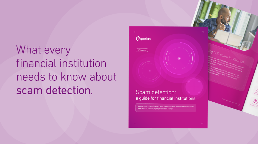 Detecting-and-Preventing-Scam-WP